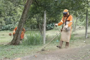 3f646d0faf03a2ab12a8cfbc68376d65